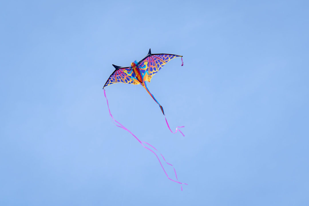 Creative Alliance | Celebrate the Arts kite