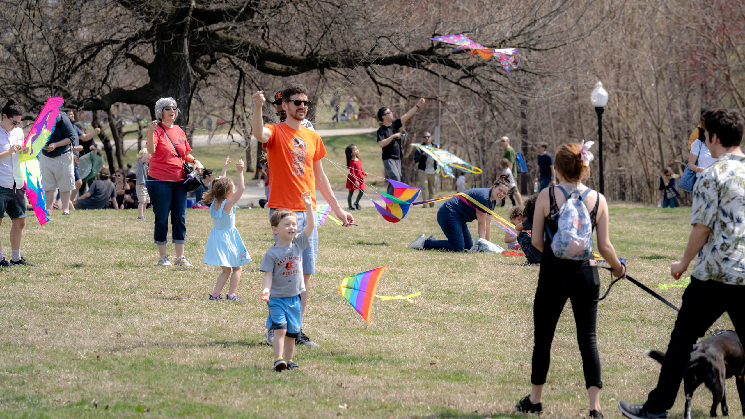 Creative Alliance | The Big Baltimore Kite Festival families flying kites