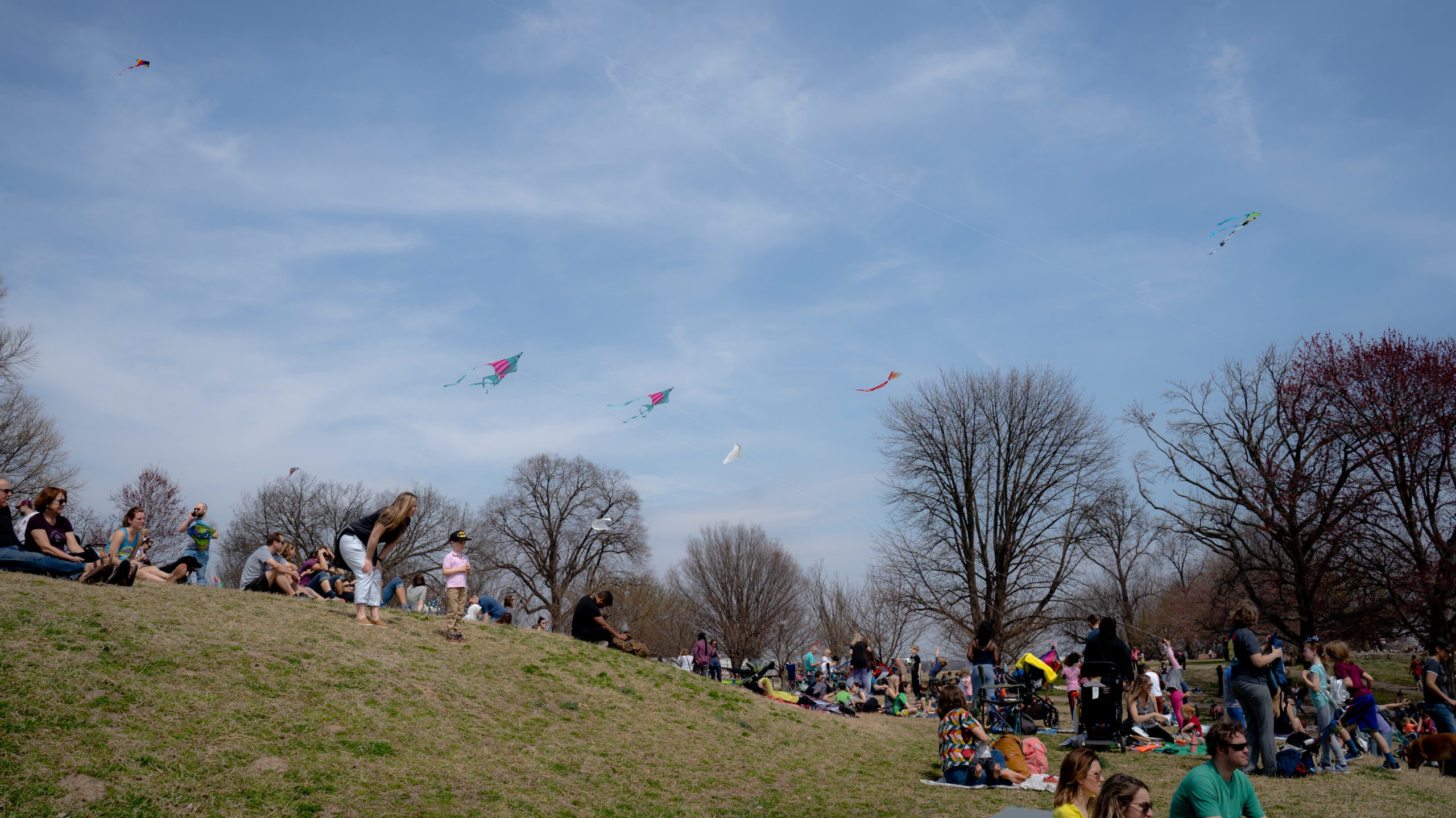 Creative Alliance | The Big Baltimore Kite Festival