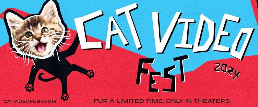 cat video fest banner, red and blue background with cat face